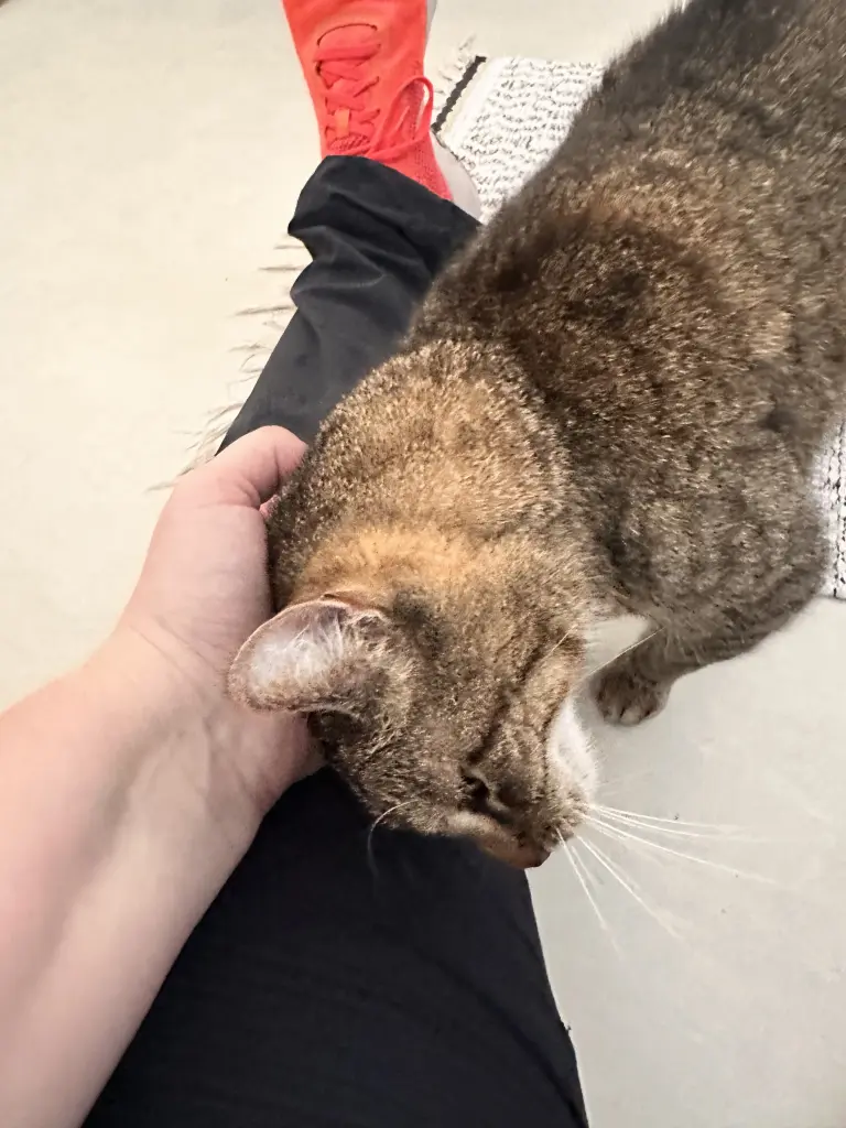 Andachtsbild von Nicole