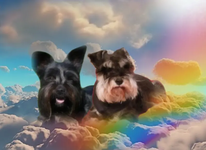 Andachtsbild von Iris mit Linus und Eliot im ♥