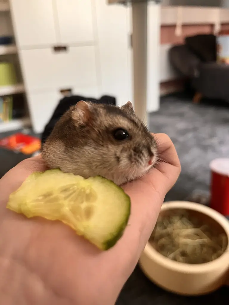 Andachtsbild von Milla mit Seelenhamster Murphy im Herzen!!!!