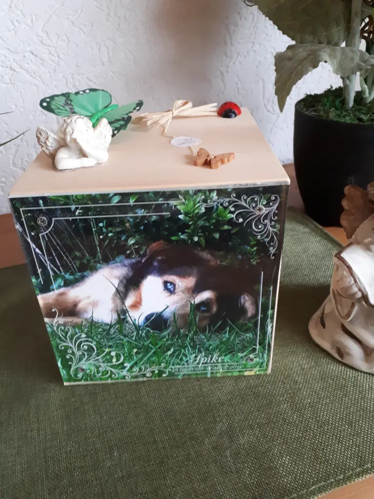 Condolence image of Heike