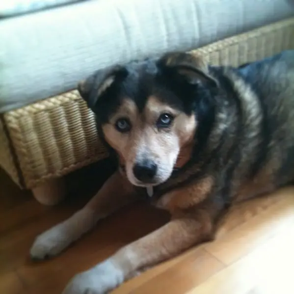 Condolence image of Heike