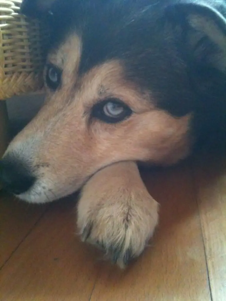 Condolence image of Heike