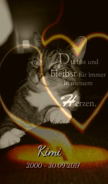 Image from Kimi