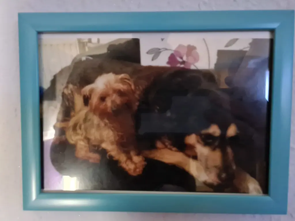 Condolence image of Steven Pawlik
