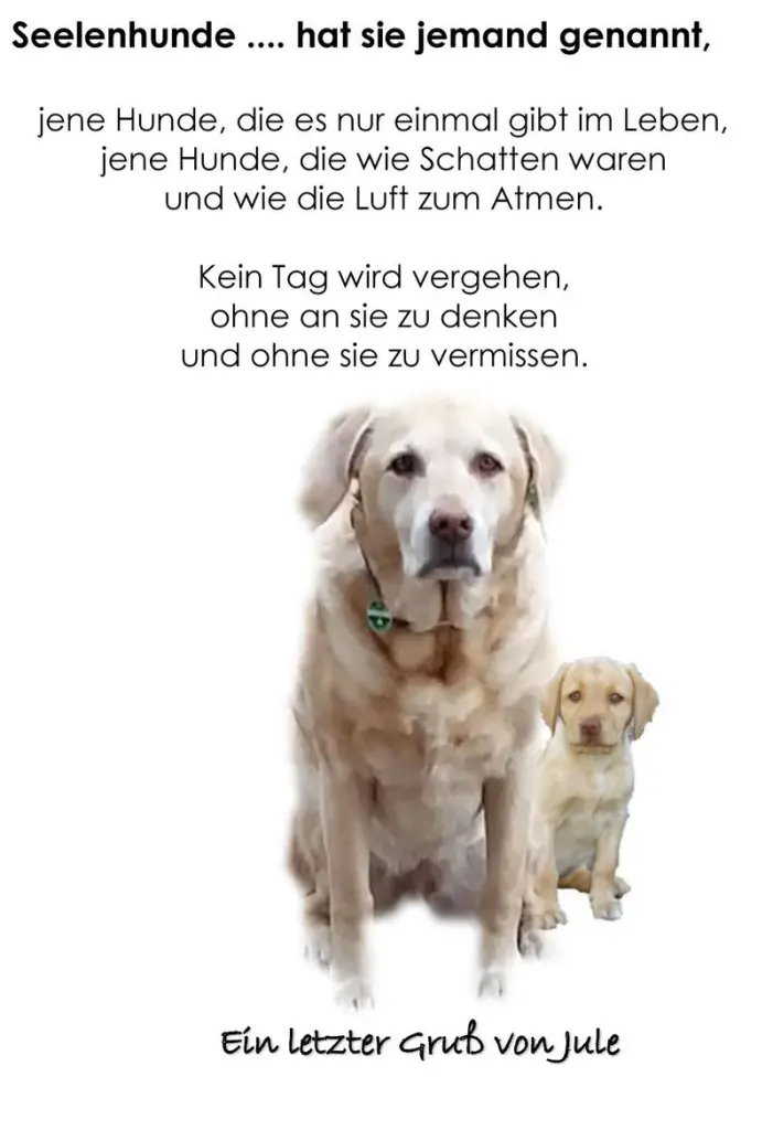 Image from Jule