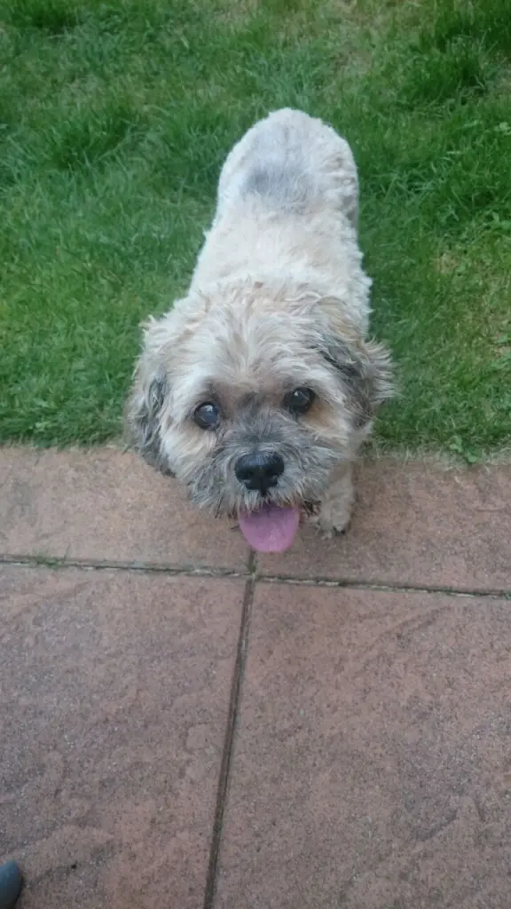 Condolence image of Angelika 