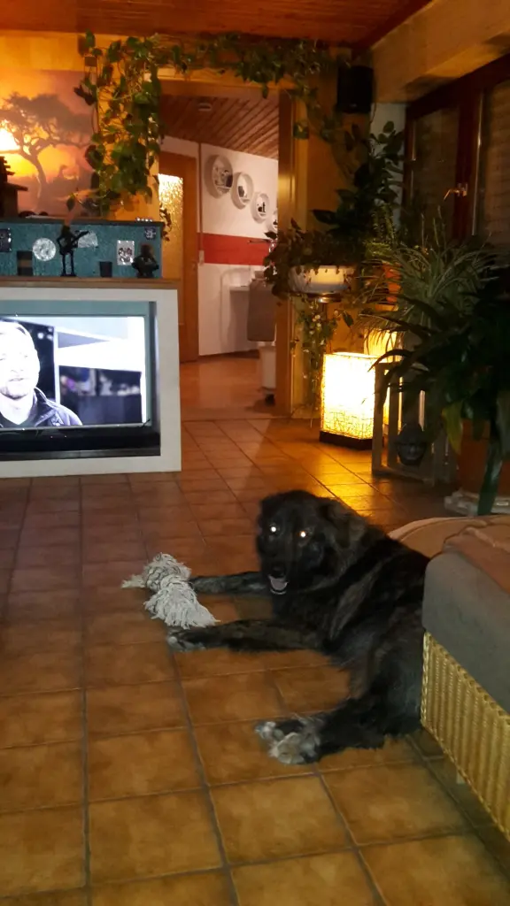 Condolence image of Bernd&jahjah