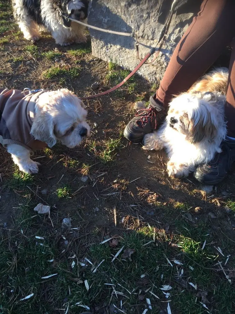 Condolence image of Marika mit Balou und Hippo im Herzen