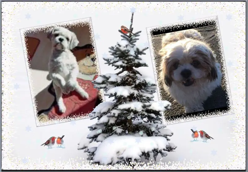 Condolence image of Marika mit Balou und Hippo im Herzen