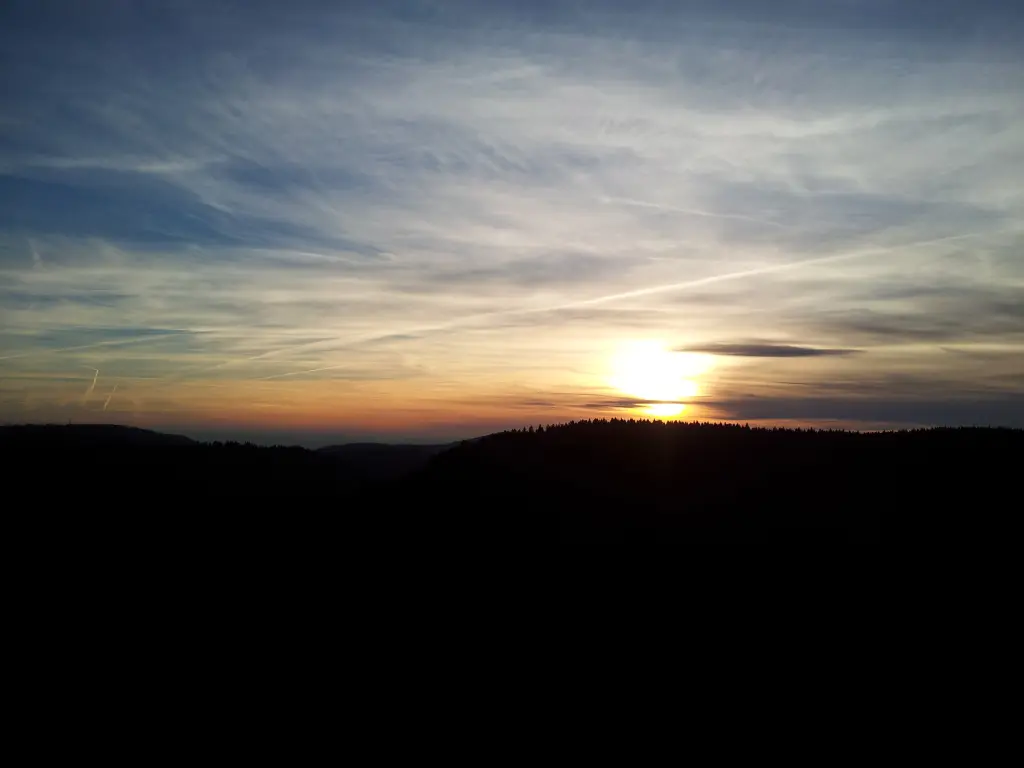 Condolence image of Angelika mit Balou im Herzen