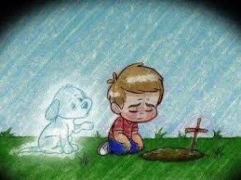 Condolence image of Marika mit Balou und Hippo im Herzen