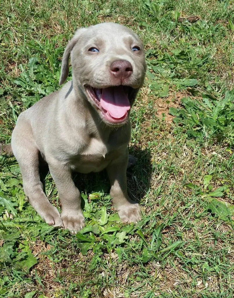 Condolence image of Bernd