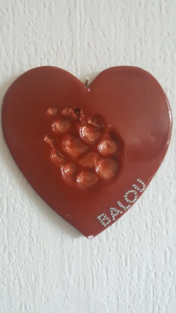 Condolence image of Angelika mit Balou im Herzen 