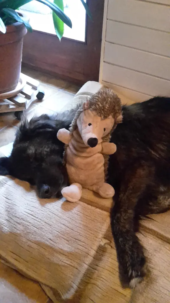 Condolence image of Bernd