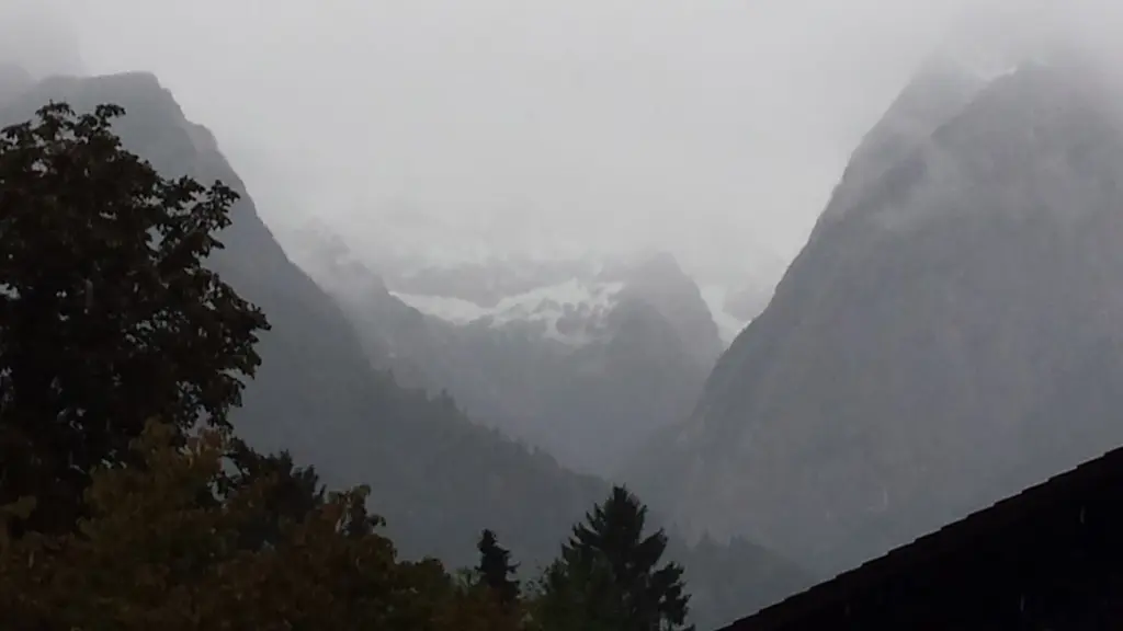 Condolence image of Angelika mit Balou im Herzen