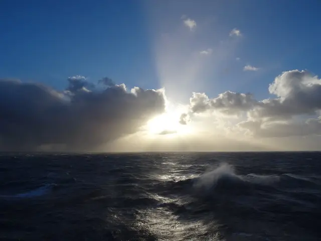 Condolence image of Angelika