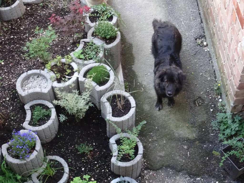 Condolence image of Bernd&Rudi