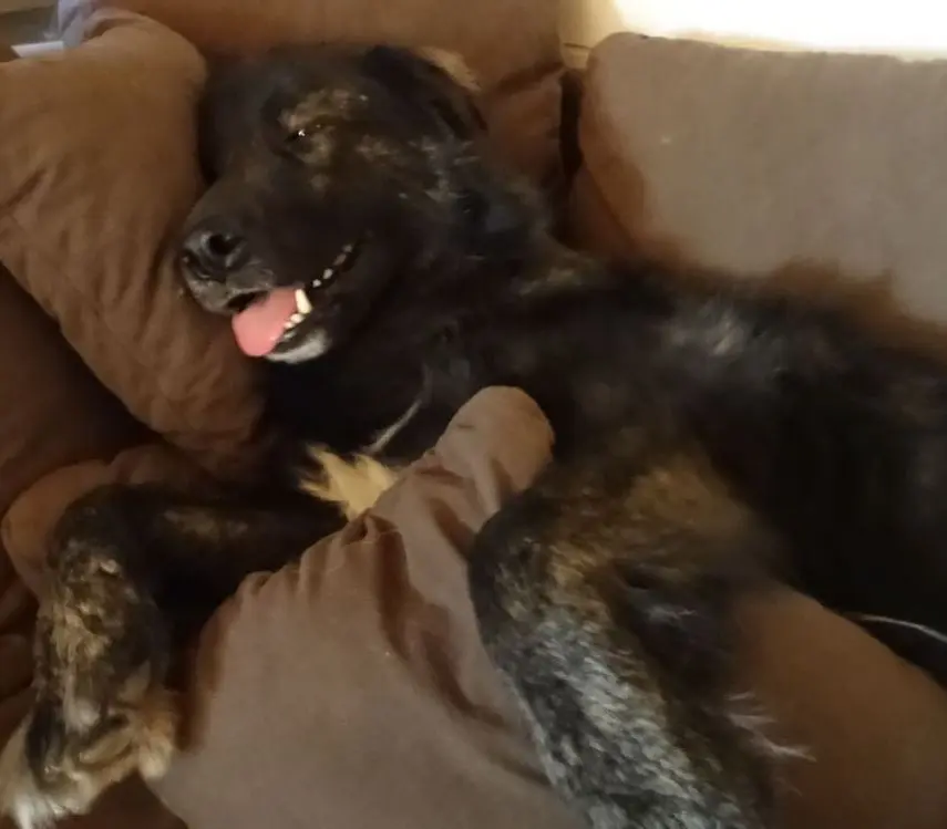 Condolence image of Bernd