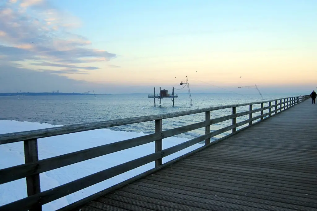 Condolence image of Angelika