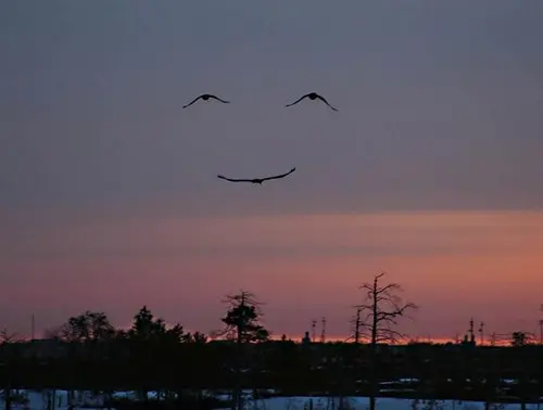 Condolence image of Bernd