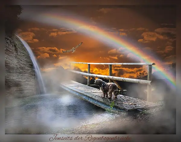 Condolence image of Bernd