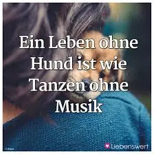 Condolence image of Angelika mit Balou im Herzen