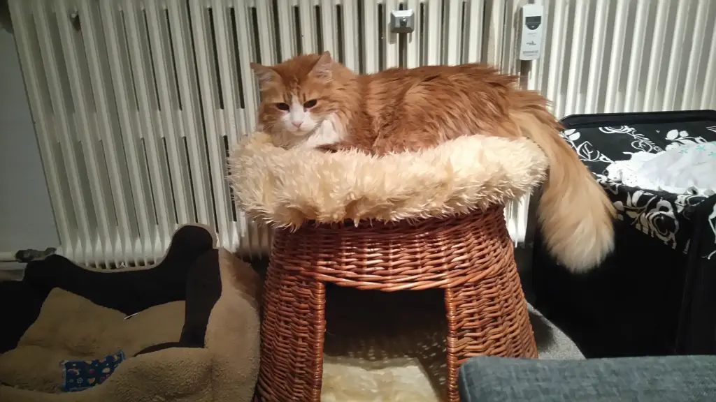 Condolence image of Sandra