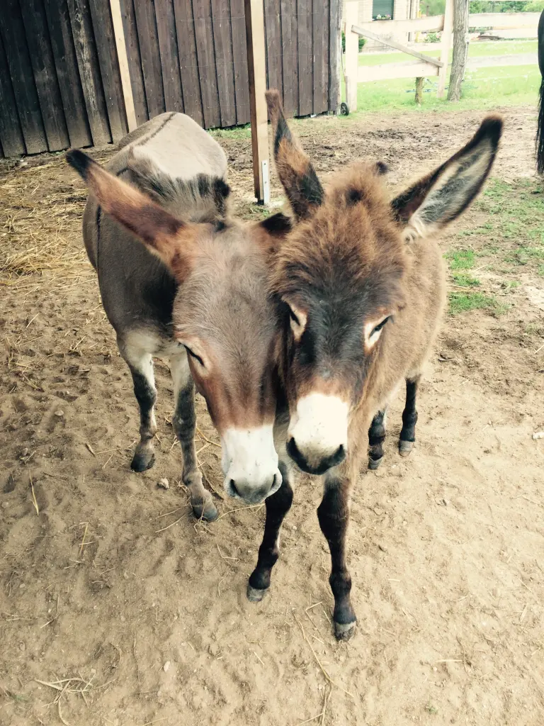 Condolence image of Unbekannt