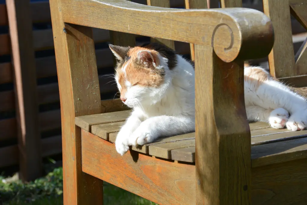Condolence image of Sabine mit Mimmi im Herzen