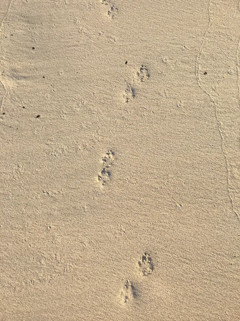 Condolence image of Nicole