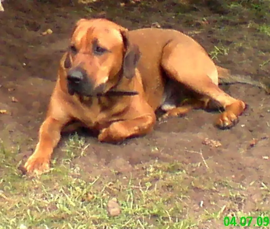 Condolence image of Sylke