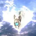 Condolence image of Mel mit Pepe & Luni im Herzen