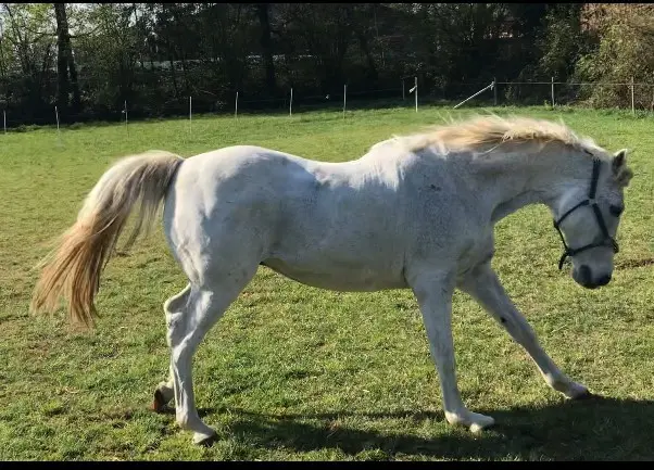 Bild von Leolucca