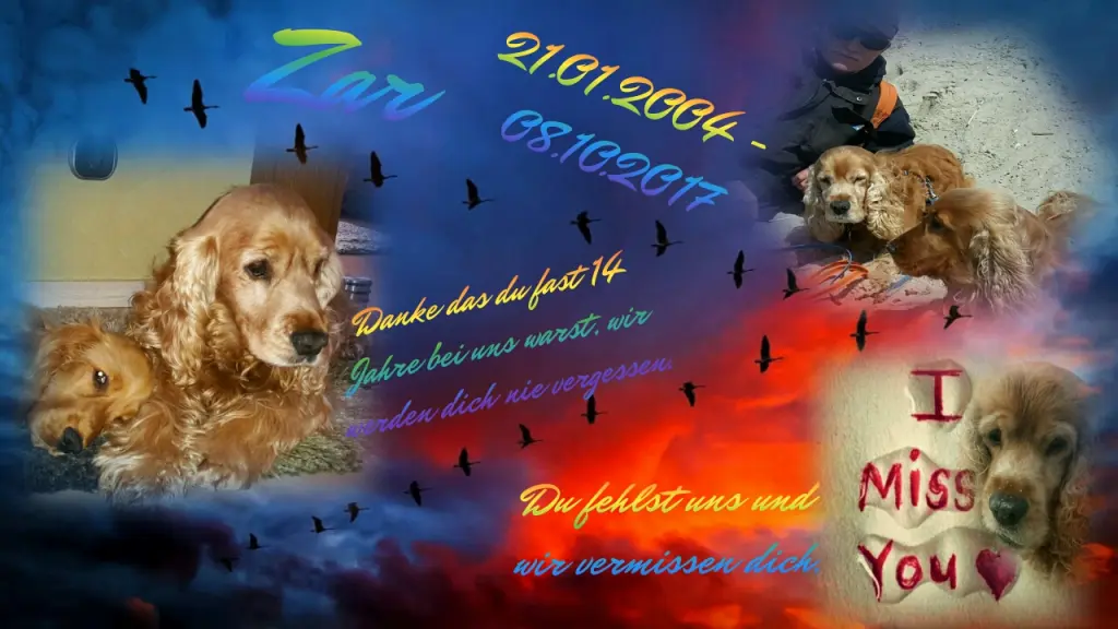 Image from Zar