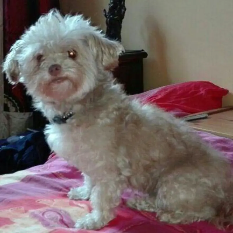 Image from Nelly
