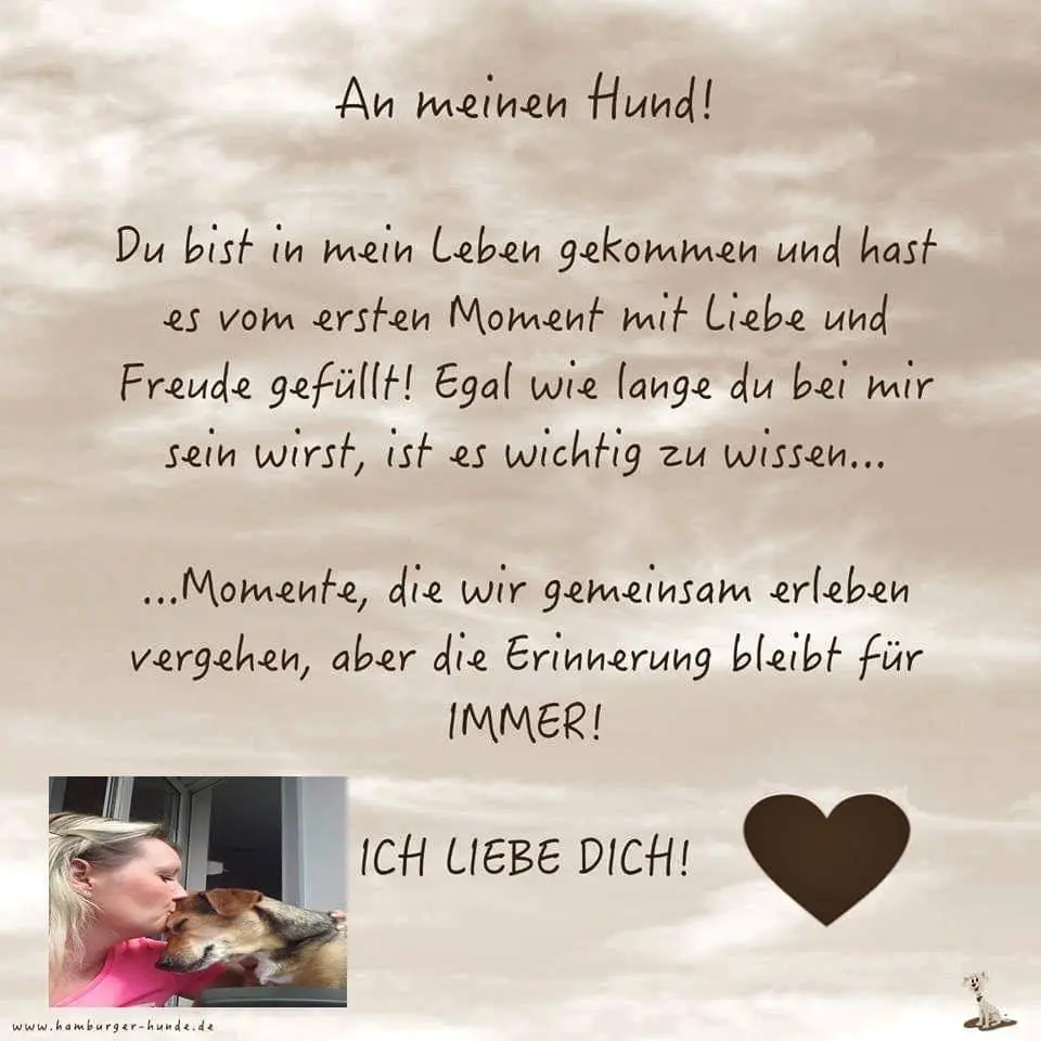 Condolence image of Sandra