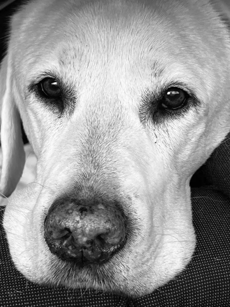 Andachtsbild von Sandra (mit Ronja im Herzen)