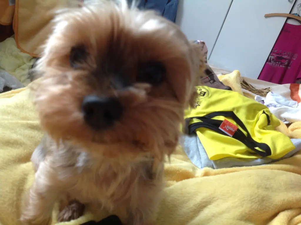Image from Fee
