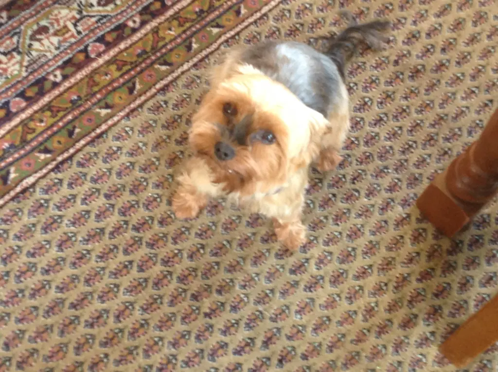 Image from Fee