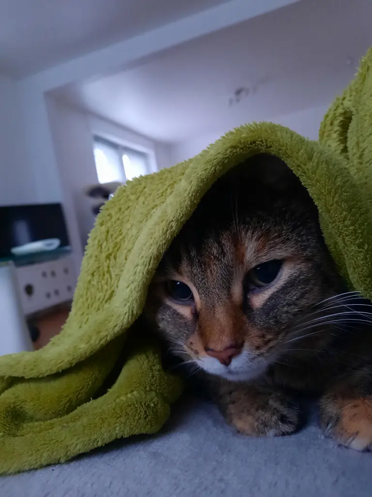 Andachtsbild von Andrea 