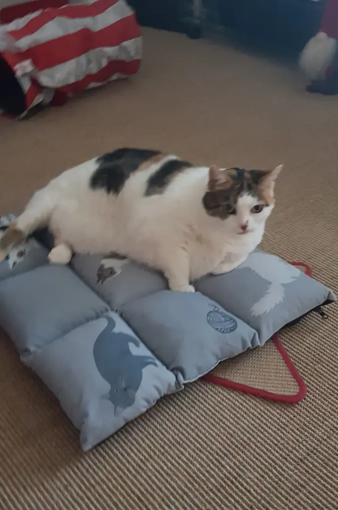 Andachtsbild von Ulla mit Trixi im Herzen
