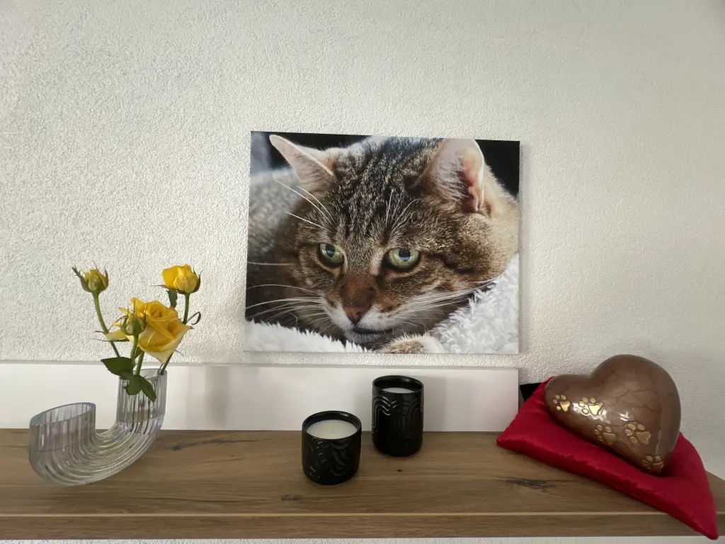 Bild von Lionel