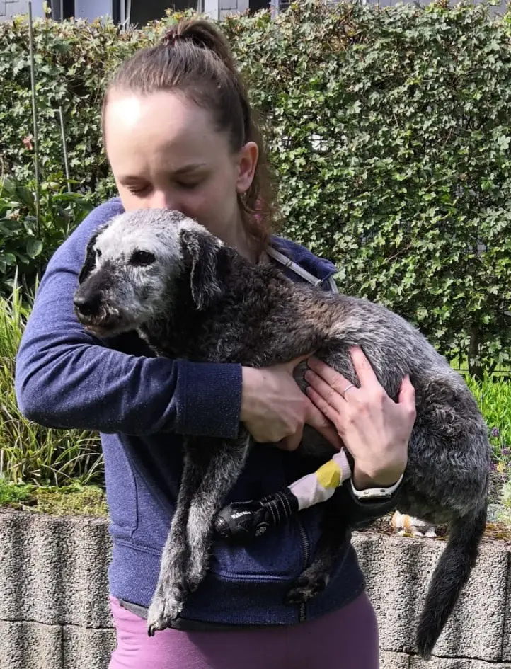 Andachtsbild von Rebecca