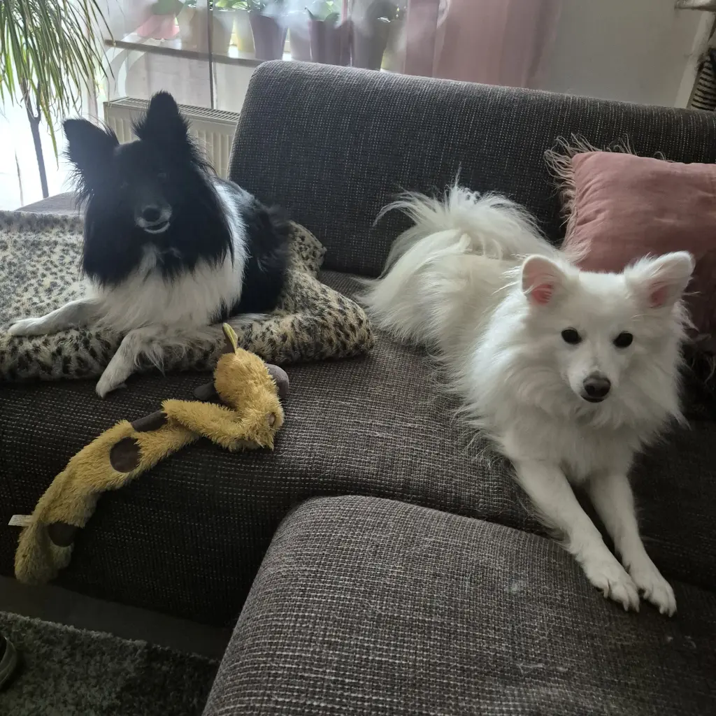 Andachtsbild von Jessie