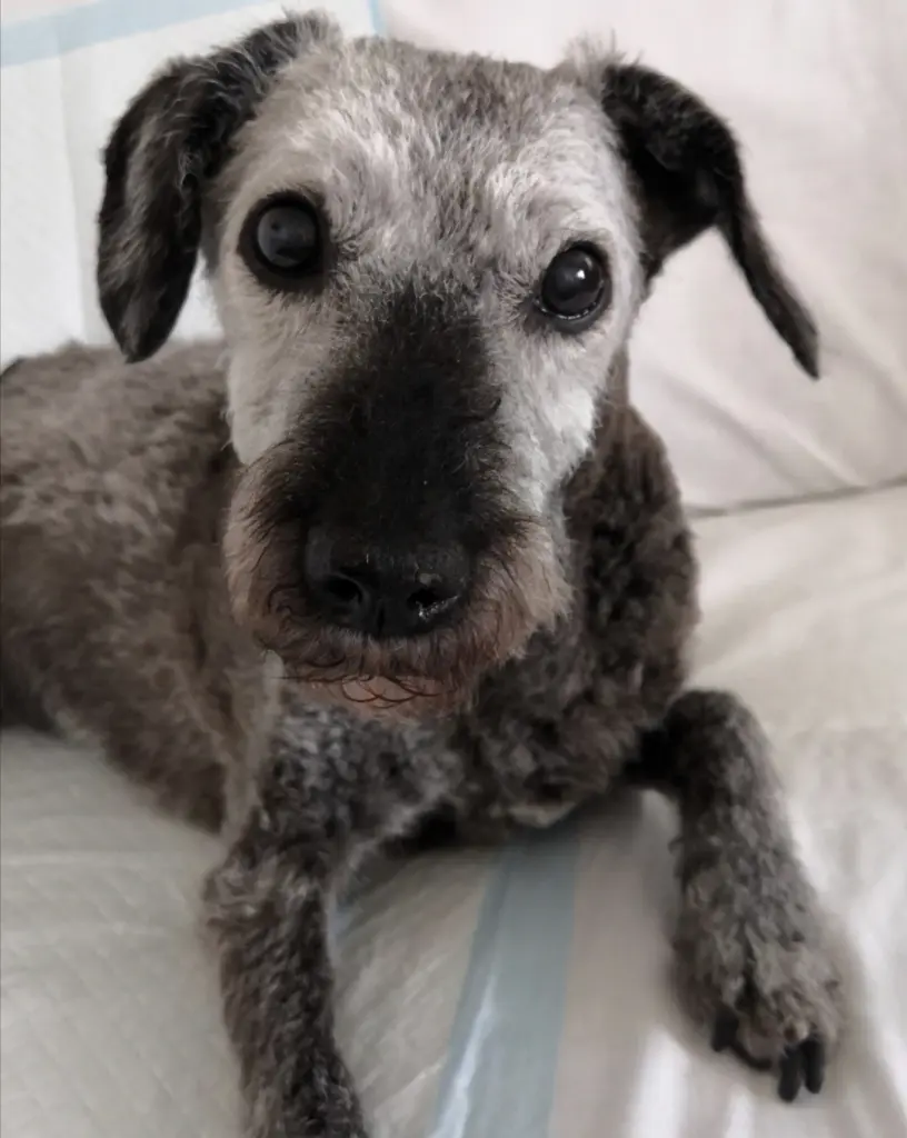 Andachtsbild von Mama❤️Lilly