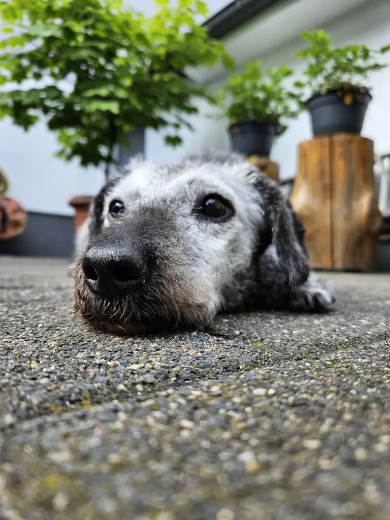 Andachtsbild von Tante❤️Lilly