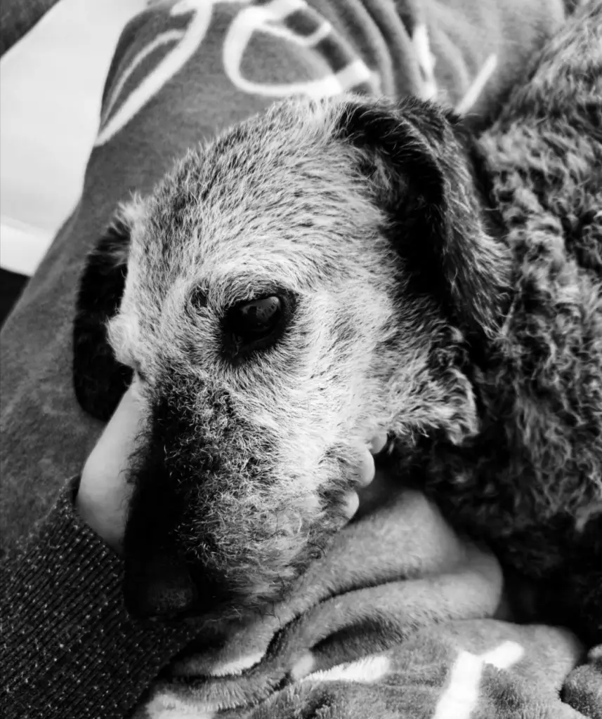 Andachtsbild von Mama❤️Lilly