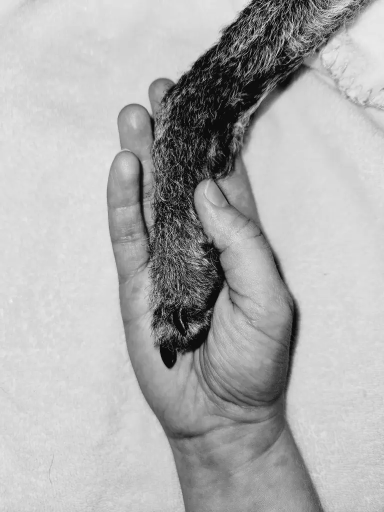 Andachtsbild von Tante❤️Lilly