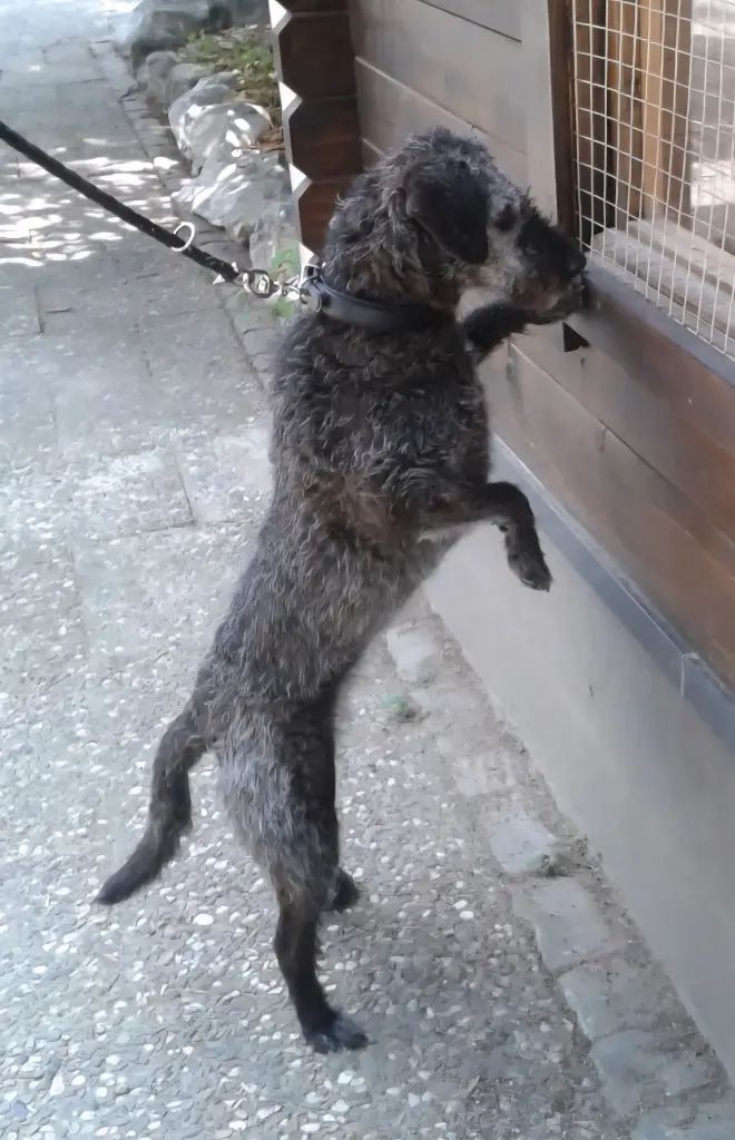 Andachtsbild von Tante❤️Lilly