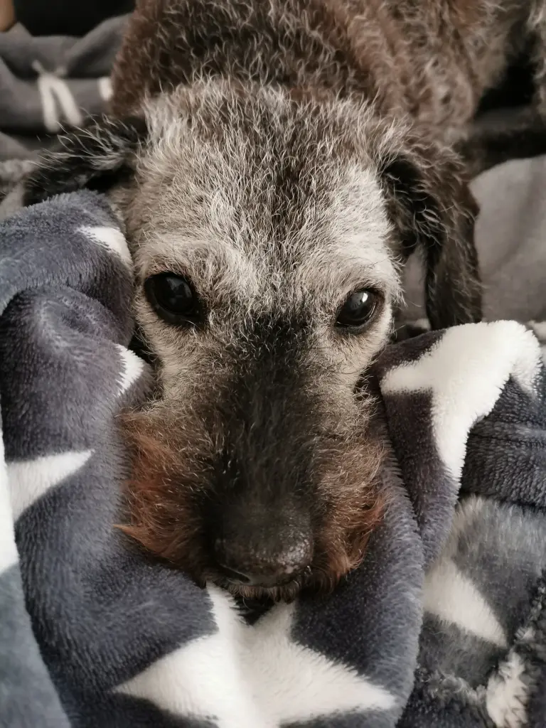 Andachtsbild von Tante❤️Lilly